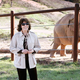 An Apology To Elephants